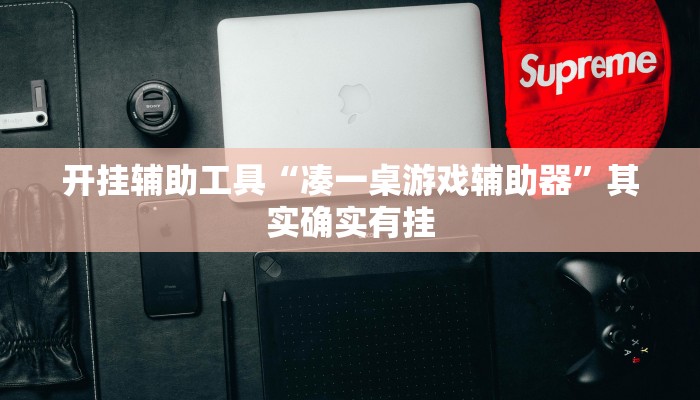 开挂辅助工具“凑一桌游戏辅助器”其实确实有挂