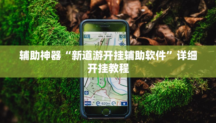 辅助神器“新道游开挂辅助软件”详细开挂教程