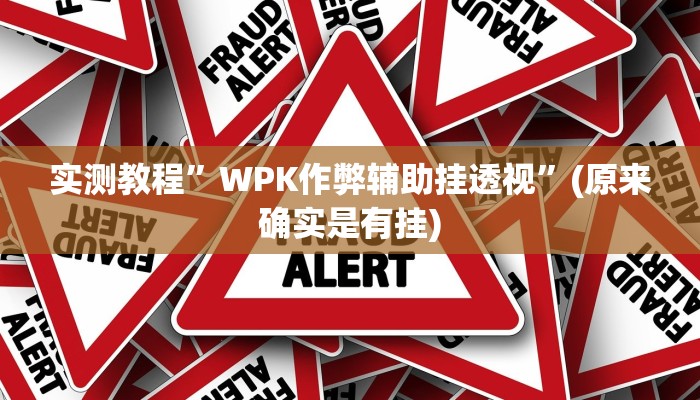 实测教程”WPK作弊辅助挂透视”(原来确实是有挂)