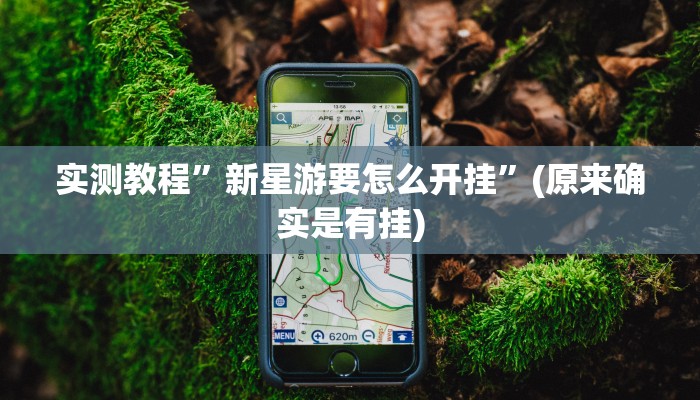 实测教程”新星游要怎么开挂”(原来确实是有挂)