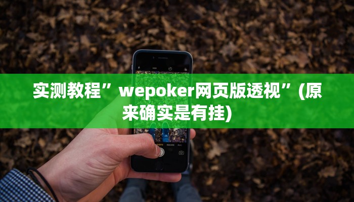 实测教程”wepoker网页版透视”(原来确实是有挂)