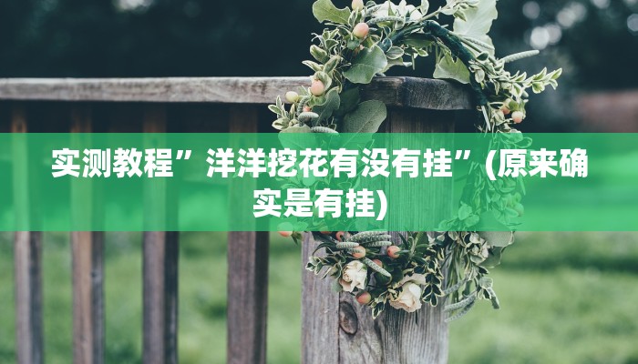 实测教程”洋洋挖花有没有挂”(原来确实是有挂)