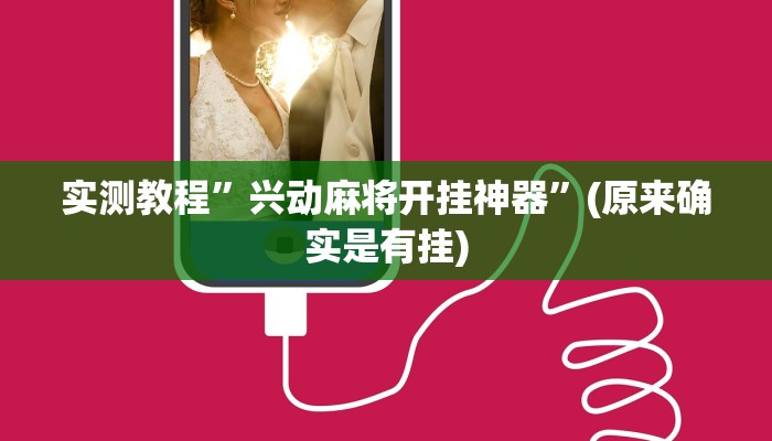 实测教程”兴动麻将开挂神器”(原来确实是有挂)