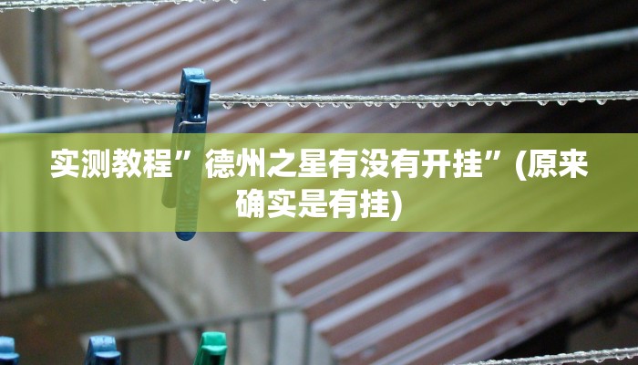 实测教程”德州之星有没有开挂”(原来确实是有挂)