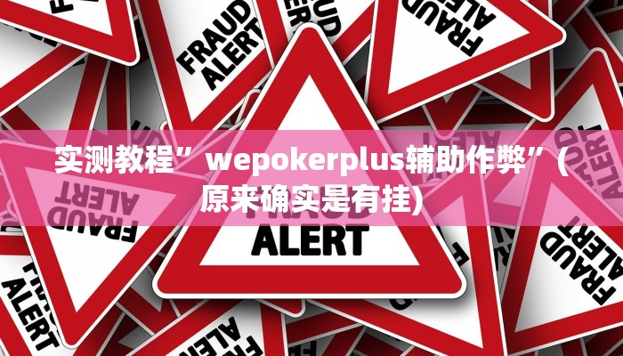 实测教程”wepokerplus辅助作弊”(原来确实是有挂)