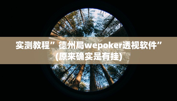 实测教程”德州局wepoker透视软件”(原来确实是有挂)