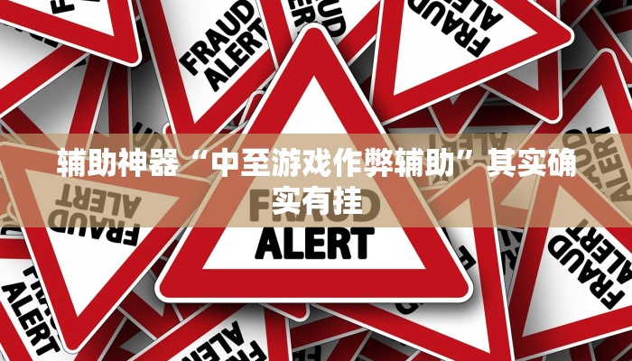 辅助神器“中至游戏作弊辅助”其实确实有挂