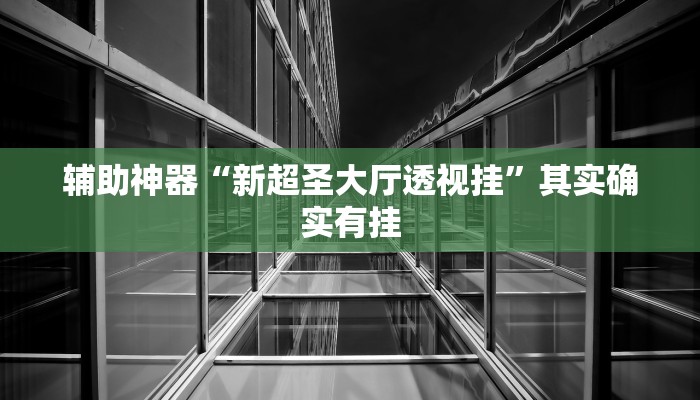 辅助神器“新超圣大厅透视挂”其实确实有挂