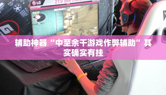 辅助神器“中至余干游戏作弊辅助”其实确实有挂