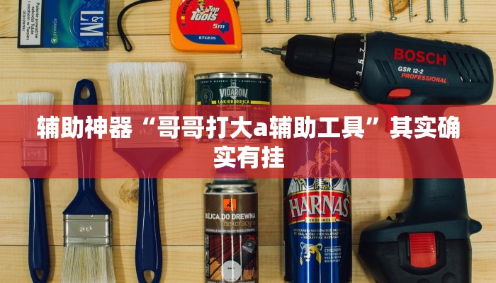 辅助神器“哥哥打大a辅助工具”其实确实有挂