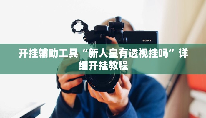 开挂辅助工具“新人皇有透视挂吗”详细开挂教程