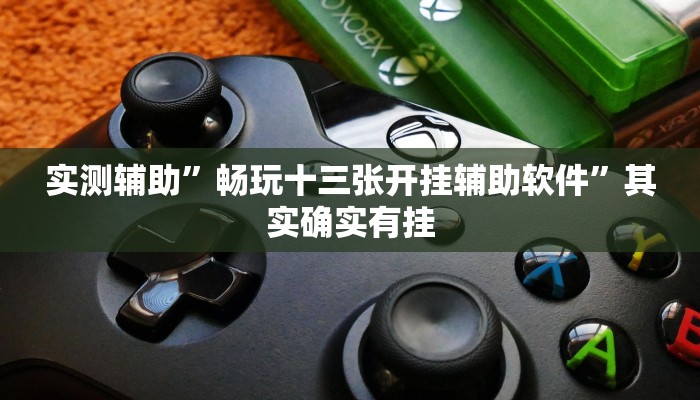 实测辅助”畅玩十三张开挂辅助软件”其实确实有挂