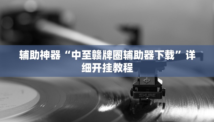 辅助神器“中至赣牌圈辅助器下载”详细开挂教程