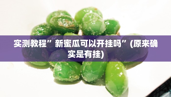 实测教程”新蜜瓜可以开挂吗”(原来确实是有挂)
