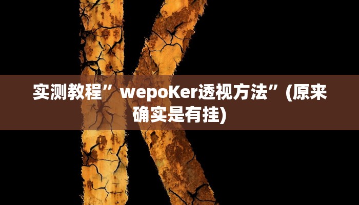 实测教程”wepoKer透视方法”(原来确实是有挂)