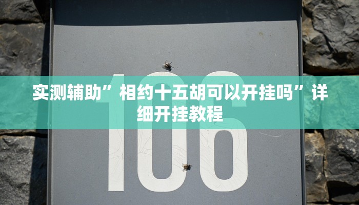 实测辅助”相约十五胡可以开挂吗”详细开挂教程