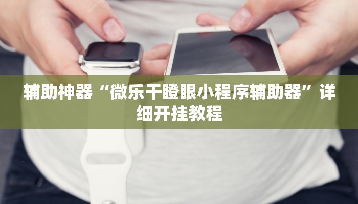 辅助神器“微乐干瞪眼小程序辅助器”详细开挂教程