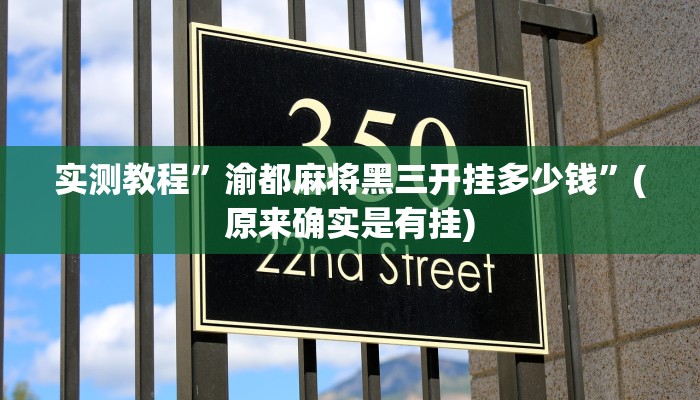 实测教程”渝都麻将黑三开挂多少钱”(原来确实是有挂)