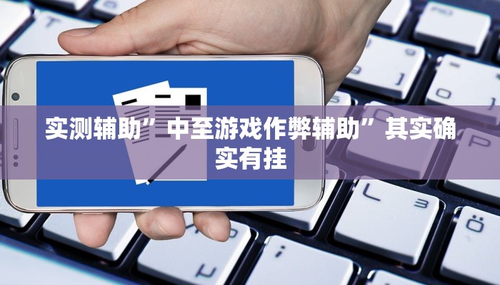 实测辅助”中至游戏作弊辅助”其实确实有挂
