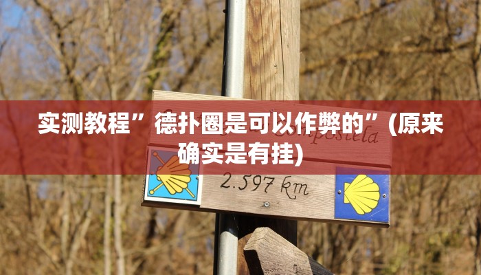 实测教程”德扑圈是可以作弊的”(原来确实是有挂)