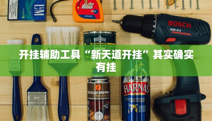 开挂辅助工具“新天道开挂”其实确实有挂