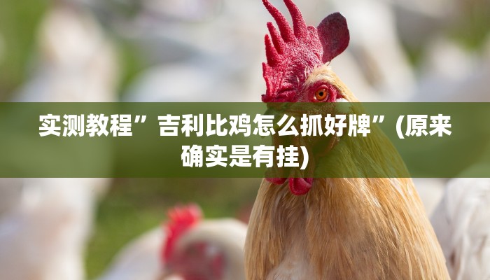 实测教程”吉利比鸡怎么抓好牌”(原来确实是有挂)