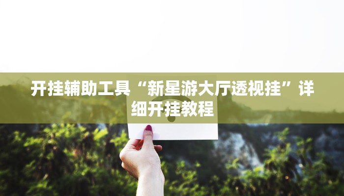 开挂辅助工具“新星游大厅透视挂”详细开挂教程