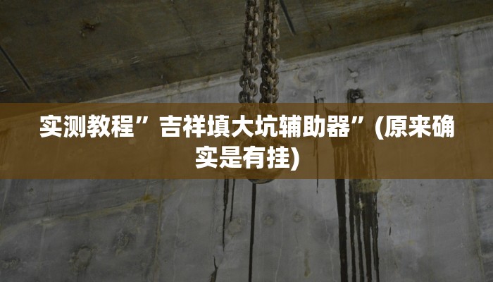 实测教程”吉祥填大坑辅助器”(原来确实是有挂)