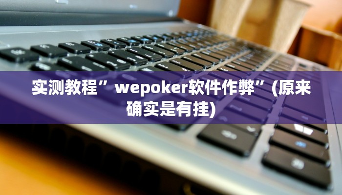 实测教程”wepoker软件作弊”(原来确实是有挂)