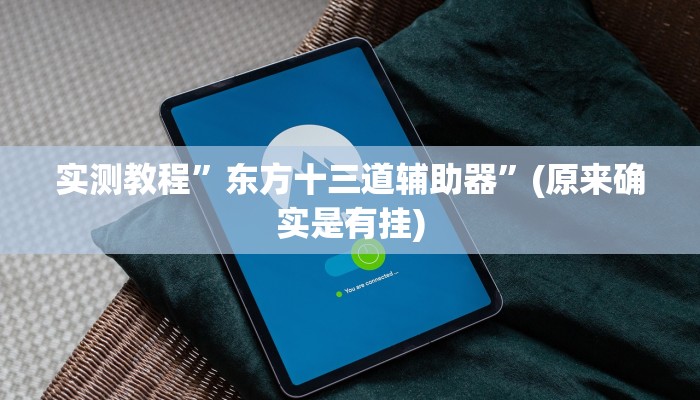 实测教程”东方十三道辅助器”(原来确实是有挂)