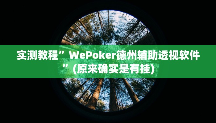 实测教程”WePoker德州辅助透视软件”(原来确实是有挂)