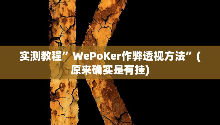 实测教程”WePoKer作弊透视方法”(原来确实是有挂)