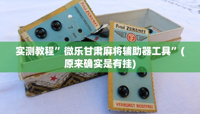 实测教程”微乐甘肃麻将辅助器工具”(原来确实是有挂)