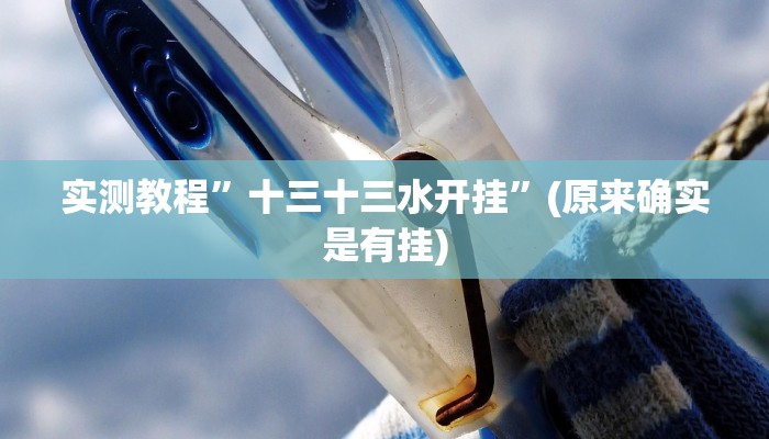 实测教程”十三十三水开挂”(原来确实是有挂)