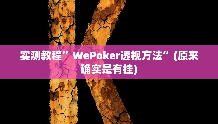 实测教程”WePoker透视方法”(原来确实是有挂)