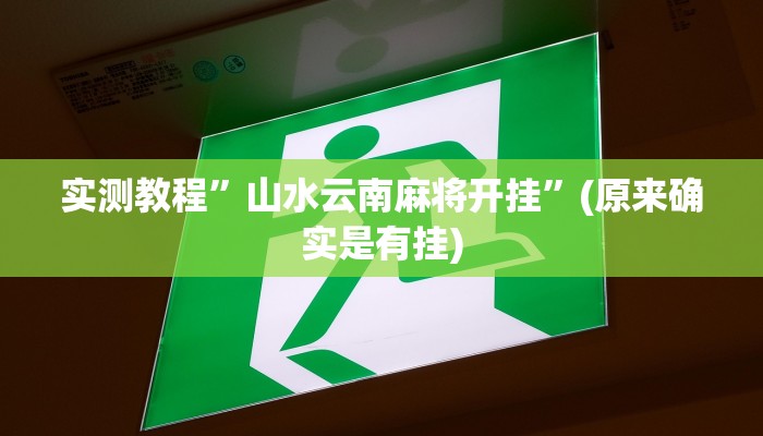 实测教程”山水云南麻将开挂”(原来确实是有挂)