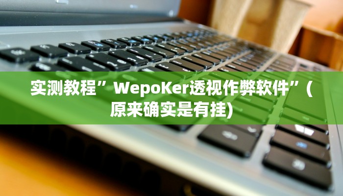 实测教程”WepoKer透视作弊软件”(原来确实是有挂)