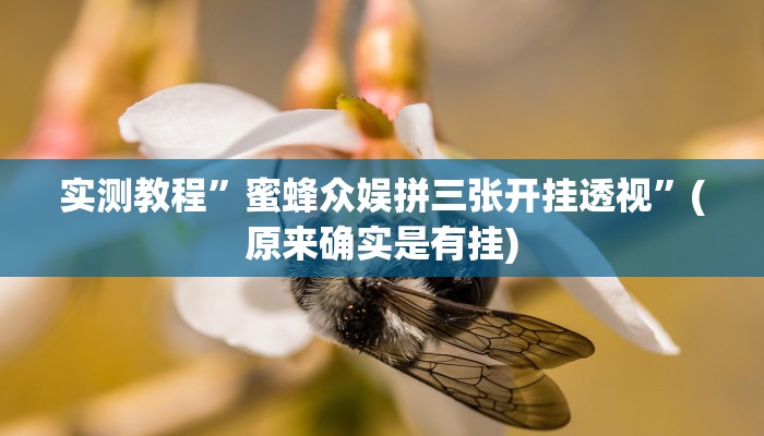 实测教程”蜜蜂众娱拼三张开挂透视”(原来确实是有挂)