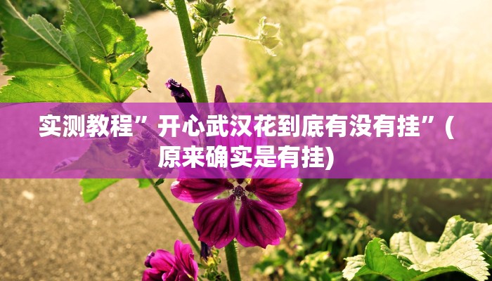 实测教程”开心武汉花到底有没有挂”(原来确实是有挂)