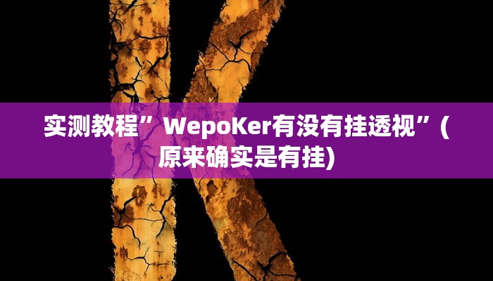 实测教程”WepoKer有没有挂透视”(原来确实是有挂)