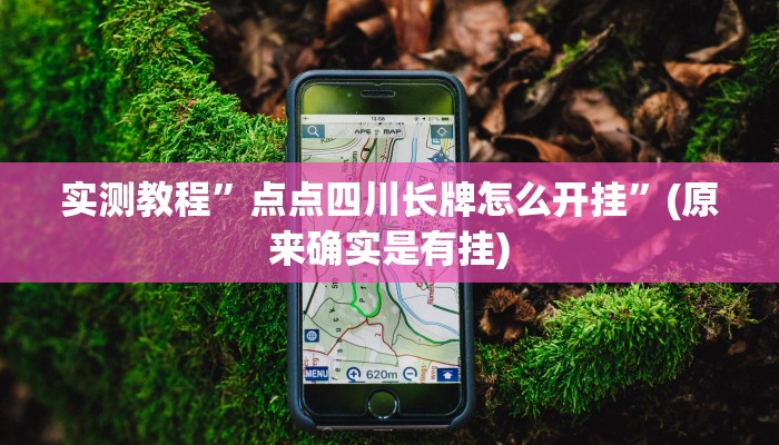 实测教程”点点四川长牌怎么开挂”(原来确实是有挂)