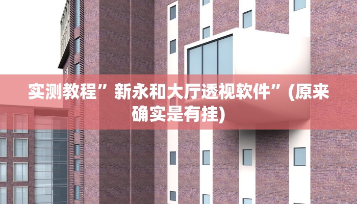 实测教程”新永和大厅透视软件”(原来确实是有挂)