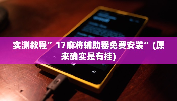 实测教程”17麻将辅助器免费安装”(原来确实是有挂)