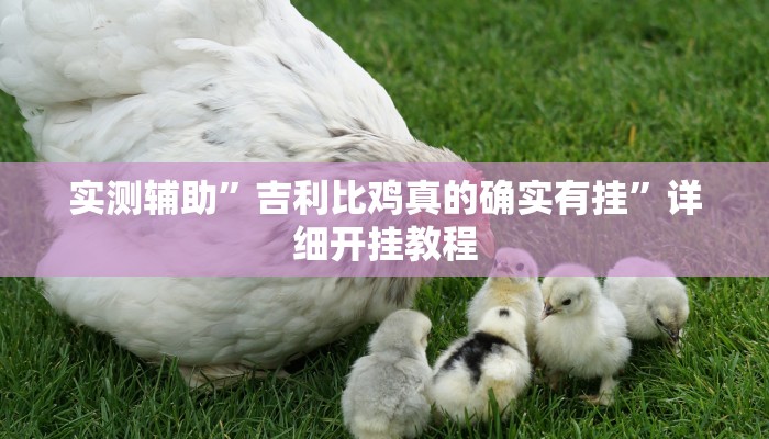 实测辅助”吉利比鸡真的确实有挂”详细开挂教程