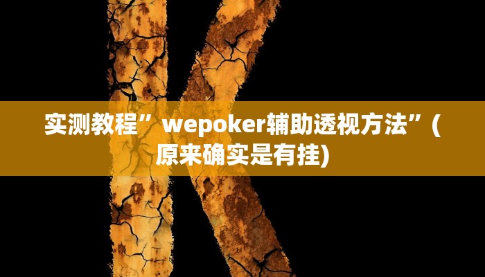 实测教程”wepoker辅助透视方法”(原来确实是有挂)