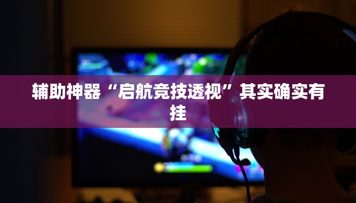 辅助神器“启航竞技透视”其实确实有挂