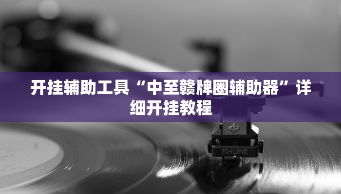 开挂辅助工具“中至赣牌圈辅助器”详细开挂教程