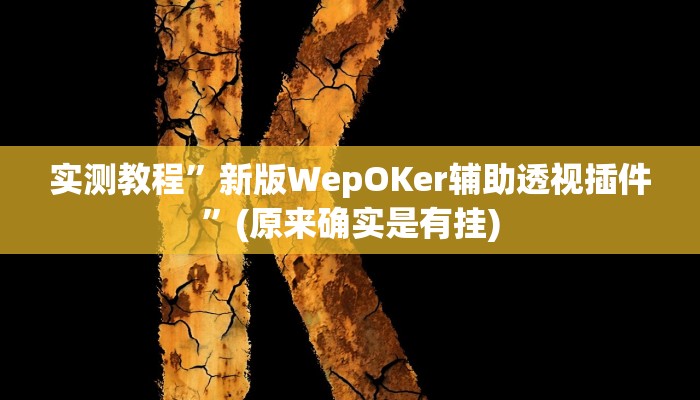 实测教程”新版WepOKer辅助透视插件”(原来确实是有挂)