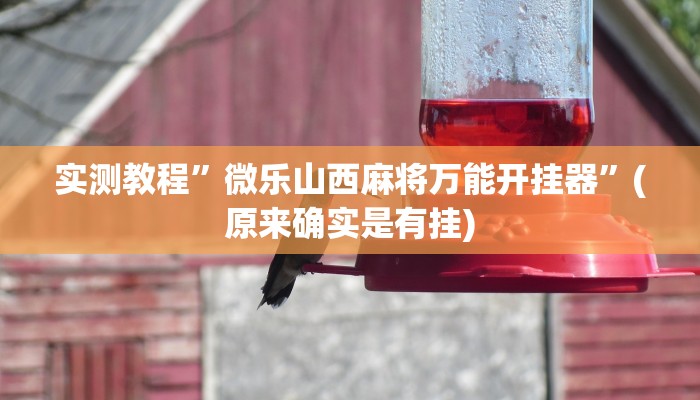 实测教程”微乐山西麻将万能开挂器”(原来确实是有挂)
