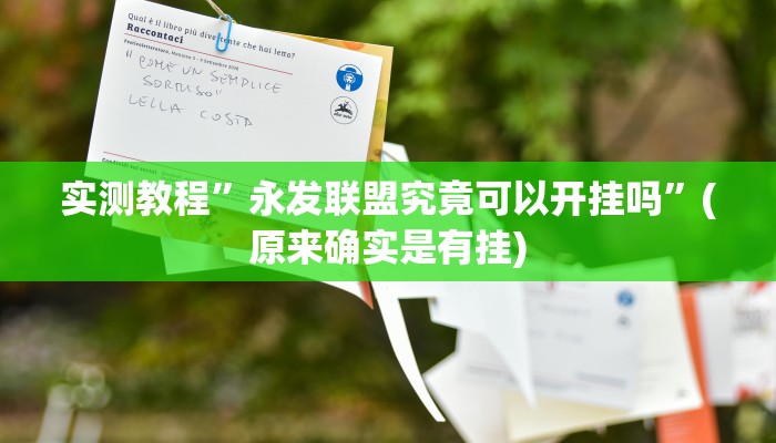 实测教程”永发联盟究竟可以开挂吗”(原来确实是有挂)